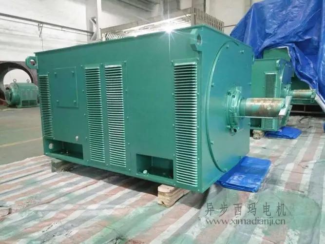 西瑪電機(jī)Y5603-10 560KW <a href=http://hxylcyy.com/new/new-47-621.html target='_blank'><a href=http://hxylcyy.com/new_tags_225.html target='_blank'>10kv高壓電機(jī)</a></a>